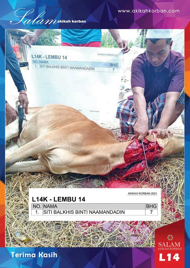 L14