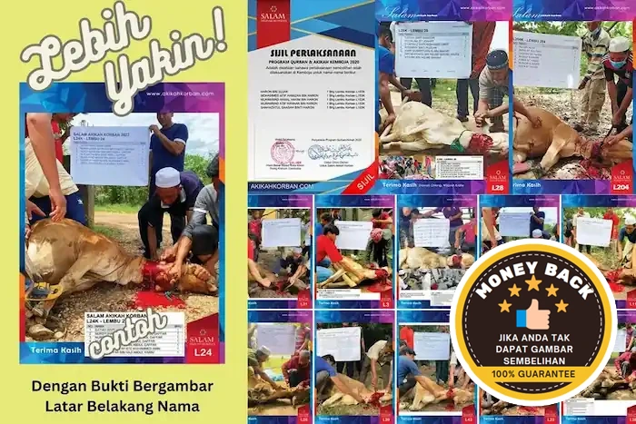 Contoh Gambar salam akikah korban